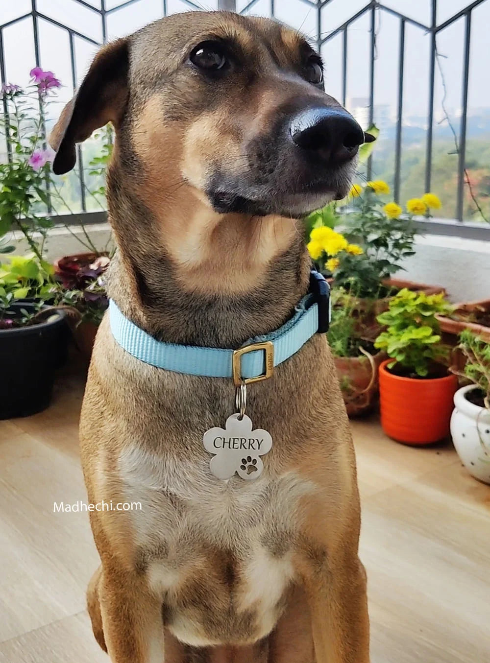 Flower Dog Name Tag