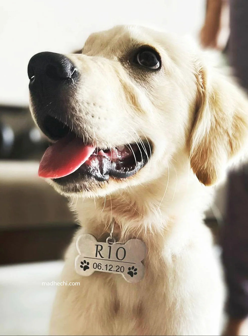 Dog Name Tag - Bone with Date of Birth 5cm