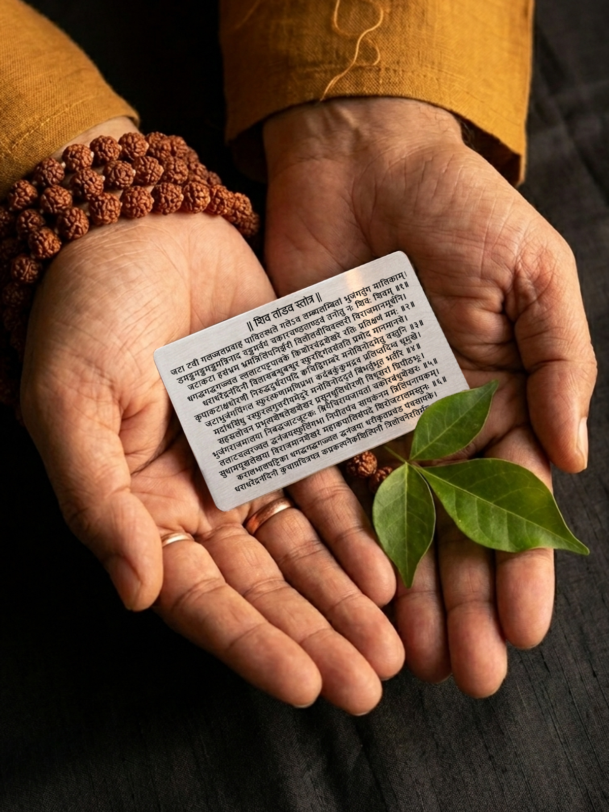 Shiv Tandav Stotra Metal card