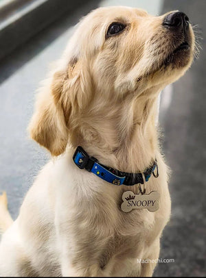 Dog name pendant discount